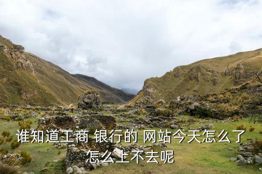 誰知道工商 銀行的 網站今天怎么了怎么上不去呢
