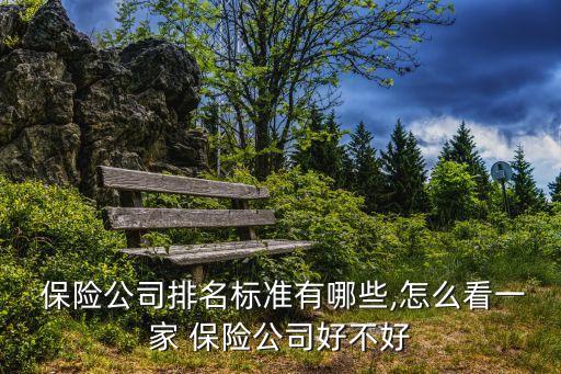  保險公司排名標準有哪些,怎么看一家 保險公司好不好