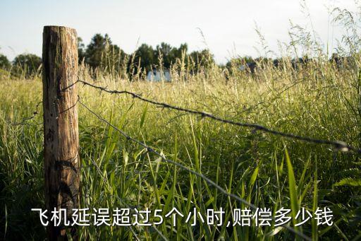 中國(guó)平安買(mǎi)飛機(jī)
