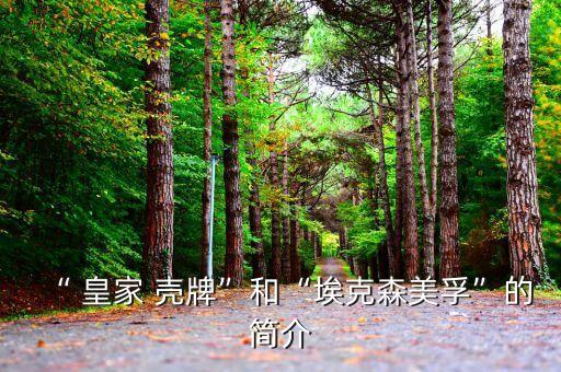 “ 皇家 殼牌”和“?？松梨凇钡暮?jiǎn)介