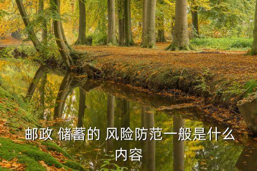 郵政儲蓄銀行風(fēng)險