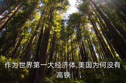 作為世界第一大經(jīng)濟(jì)體,美國(guó)為何沒(méi)有 高鐵