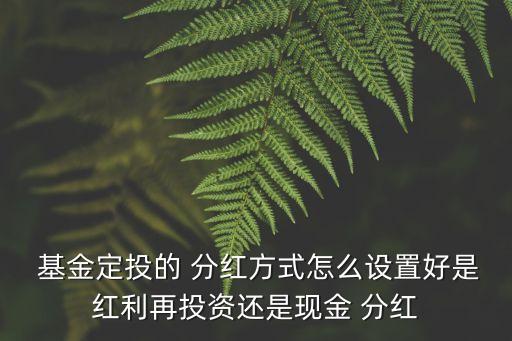  基金定投的 分紅方式怎么設置好是紅利再投資還是現(xiàn)金 分紅