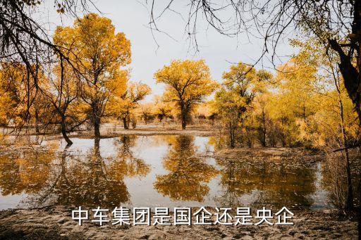 中國中車是什么板塊,中車和綠脈是什么關系