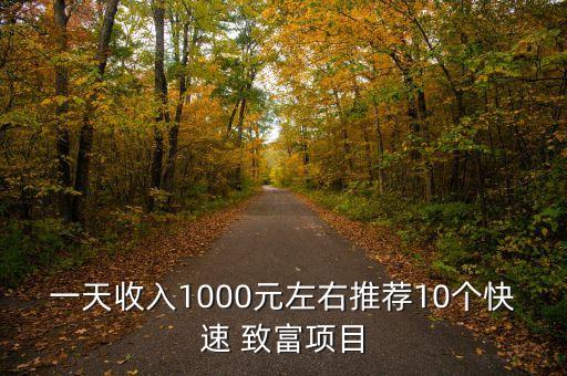 一天收入1000元左右推薦10個快速 致富項目