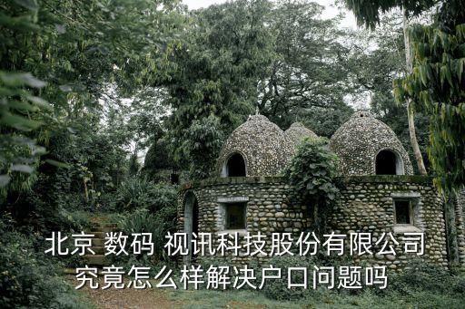  北京 數碼 視訊科技股份有限公司究竟怎么樣解決戶口問題嗎