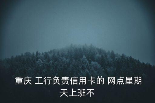  重慶 工行負責信用卡的 網(wǎng)點星期天上班不