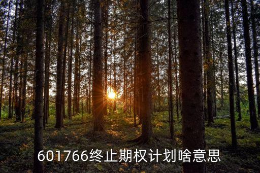601766終止期權(quán)計劃啥意思