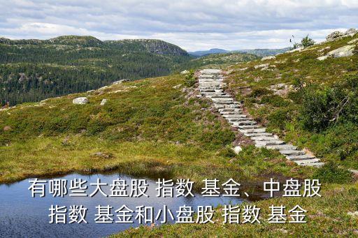 有哪些大盤股 指數(shù) 基金、中盤股 指數(shù) 基金和小盤股 指數(shù) 基金