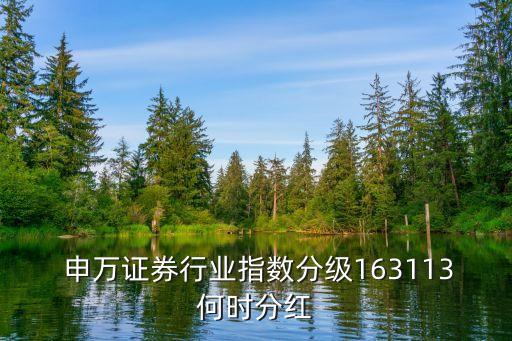  申萬證券行業(yè)指數分級163113何時分紅