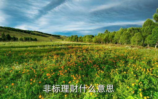 非標準化投資業(yè)務,標準化債權資產投資業(yè)務
