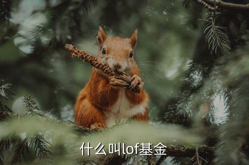 上?？缡袌?chǎng)etf,跨市場(chǎng)ETF