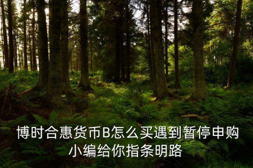  博時(shí)合惠貨幣B怎么買遇到暫停申購小編給你指條明路