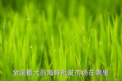 全國(guó)最大的海鮮批發(fā)市場(chǎng)在哪里