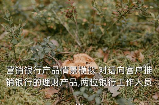 營(yíng)銷(xiāo)銀行產(chǎn)品情景模擬 對(duì)話向客戶推銷(xiāo)銀行的理財(cái)產(chǎn)品,兩位銀行工作人員...