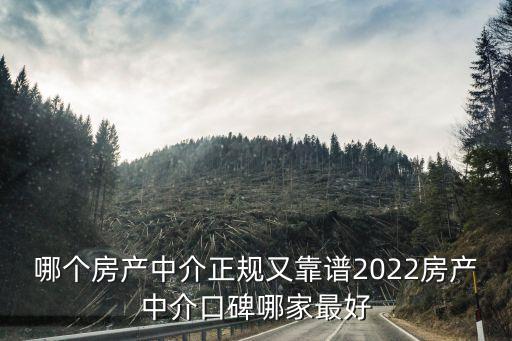 上海世聯(lián)地產顧問股份有限公司,上海決策者經濟顧問股份有限公司