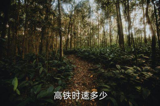高鐵的中國標(biāo)準(zhǔn),全球高鐵進(jìn)入中國標(biāo)準(zhǔn)時代