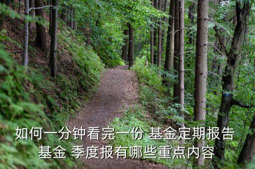 如何一分鐘看完一份 基金定期報告 基金 季度報有哪些重點(diǎn)內(nèi)容
