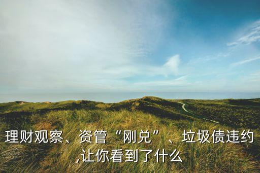 理財(cái)觀察、資管“剛兌”、垃圾債違約,讓你看到了什么