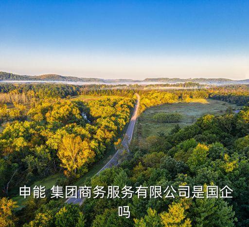  申能 集團商務(wù)服務(wù)有限公司是國企嗎