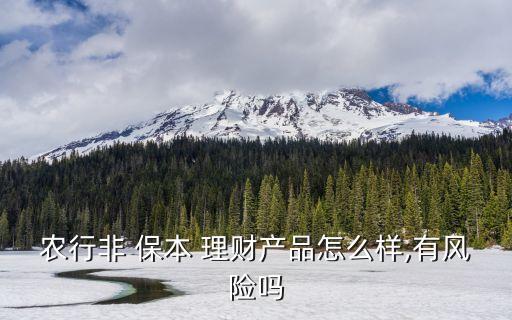 農行非 保本 理財產品怎么樣,有風險嗎