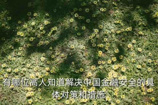 有哪位高人知道解決中國金融安全的具體對(duì)策和措施