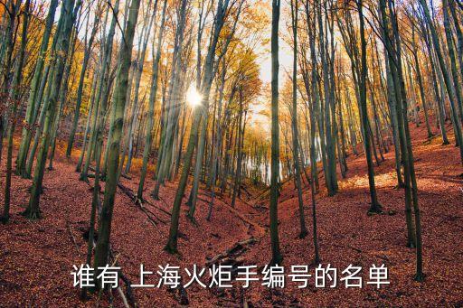 誰有 上?；鹁媸志幪柕拿麊? class=