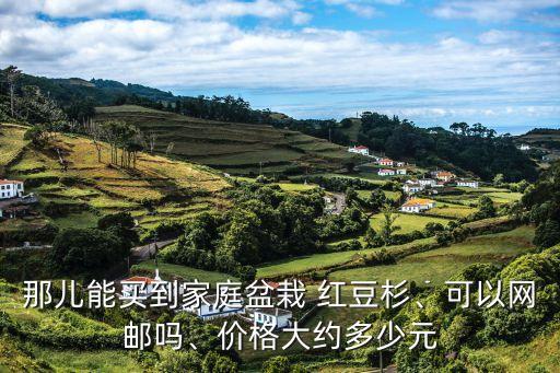 那兒能買到家庭盆栽 紅豆杉、可以網(wǎng)郵嗎、價格大約多少元