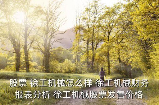 股票 徐工機械怎么樣 徐工機械財務報表分析 徐工機械股票發(fā)售價格
