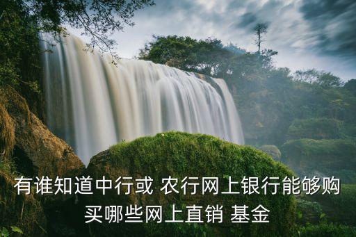 有誰知道中行或 農行網上銀行能夠購買哪些網上直銷 基金