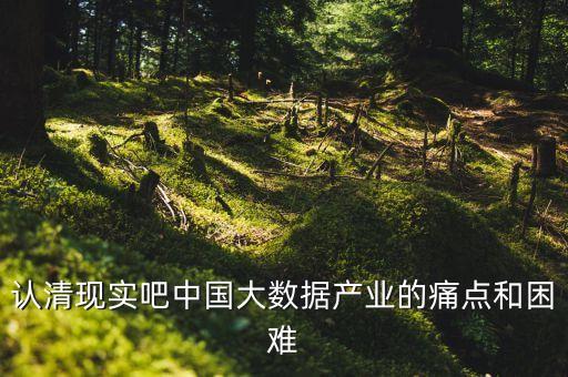 認清現實吧中國大數據產業(yè)的痛點和困難