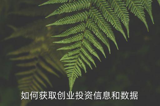 黑馬創(chuàng)投基金,創(chuàng)投基金是什么意思