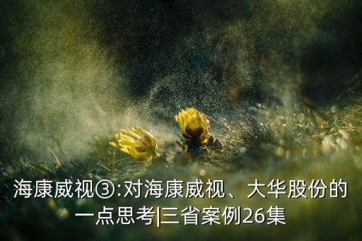 ?？低暍?對?？低?、大華股份的一點(diǎn)思考|三省案例26集