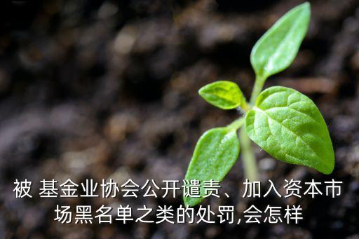 被 基金業(yè)協(xié)會公開譴責、加入資本市場黑名單之類的處罰,會怎樣