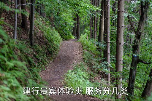 建行貴賓體驗類 服務分幾類