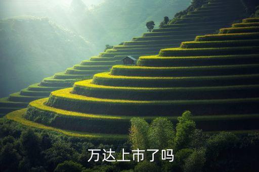 大連萬(wàn)達(dá)集團(tuán)財(cái)務(wù)報(bào)表