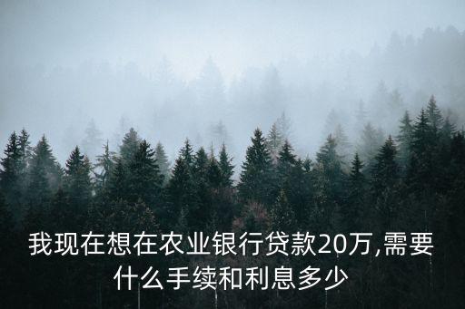 我現(xiàn)在想在農(nóng)業(yè)銀行貸款20萬(wàn),需要什么手續(xù)和利息多少