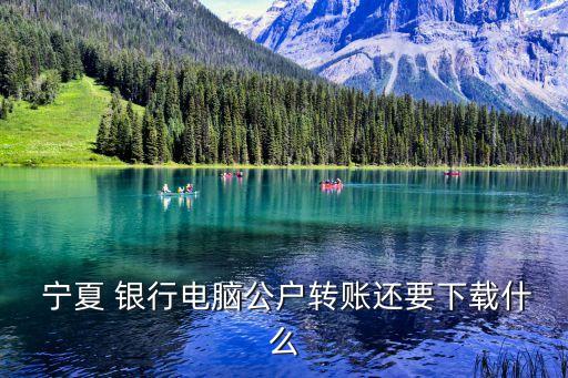  寧夏 銀行電腦公戶轉賬還要下載什么