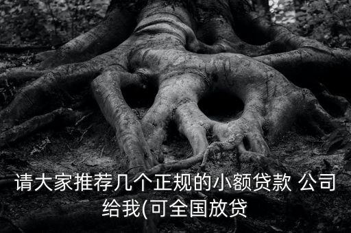 請大家推薦幾個(gè)正規(guī)的小額貸款 公司給我(可全國放貸