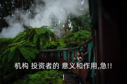 機構(gòu) 投資者的 意義和作用,急!!!