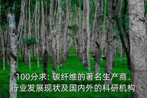 100分求: 碳纖維的著名生產(chǎn)商、行業(yè)發(fā)展現(xiàn)狀及國(guó)內(nèi)外的科研機(jī)構(gòu)