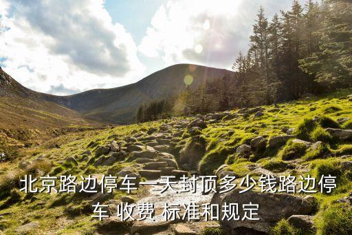  北京路邊停車(chē)一天封頂多少錢(qián)路邊停車(chē) 收費(fèi) 標(biāo)準(zhǔn)和規(guī)定