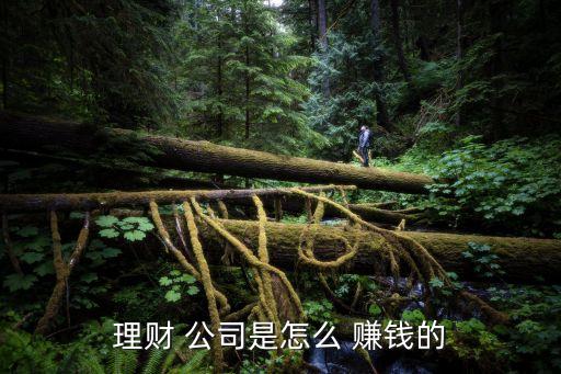 風(fēng)險(xiǎn)投資公司賺錢么,中國(guó)風(fēng)險(xiǎn)投資公司排名