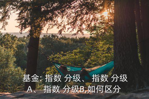  基金: 指數(shù) 分級(jí)、 指數(shù) 分級(jí)A、 指數(shù) 分級(jí)B,如何區(qū)分