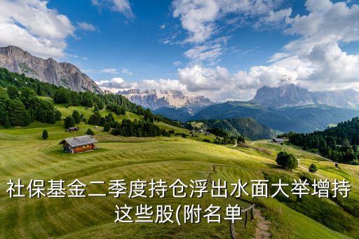 社?；鸲径瘸謧}浮出水面大舉增持這些股(附名單