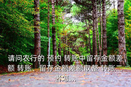 請(qǐng)問農(nóng)行的 預(yù)約 轉(zhuǎn)賬中留存金額差額 轉(zhuǎn)賬、留存金額差額取整 轉(zhuǎn)賬二者怎...