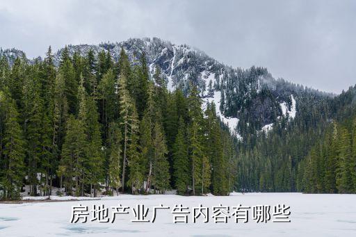  房地產業(yè)廣告內容有哪些