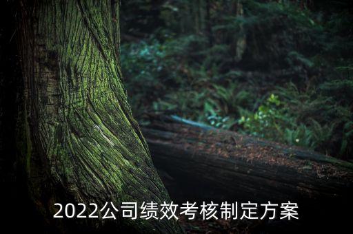 2022公司績(jī)效考核制定方案
