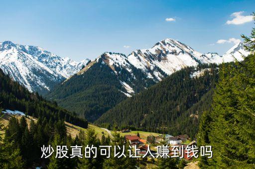 炒股真的可以讓人賺到錢(qián)嗎