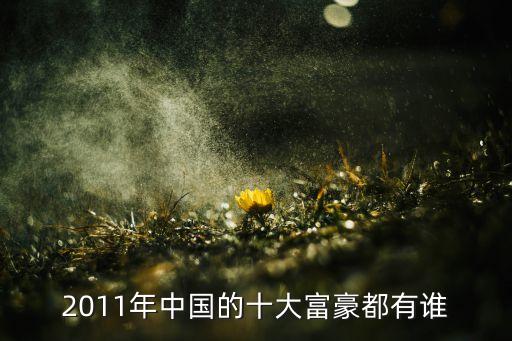 2011年中國(guó)的十大富豪都有誰